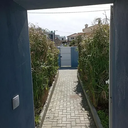 Yellow Door Casa de Férias Gafanha da Encarnacao