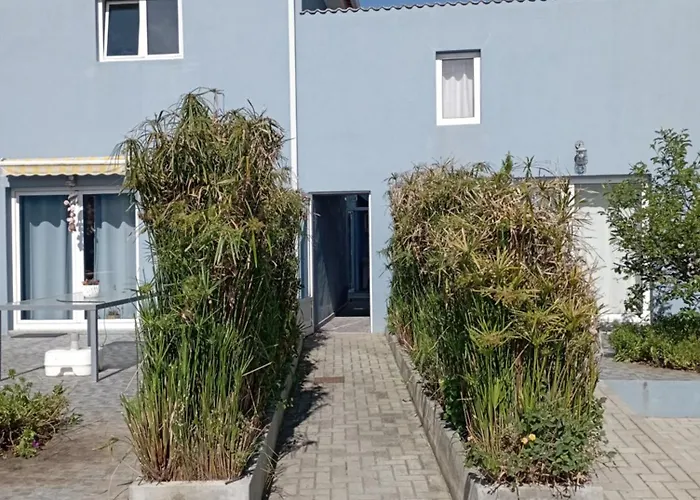 Yellow Door 別荘 Gafanha da Encarnação