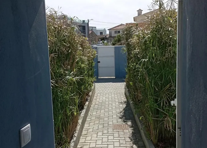 Yellow Door 別荘 Gafanha da Encarnação